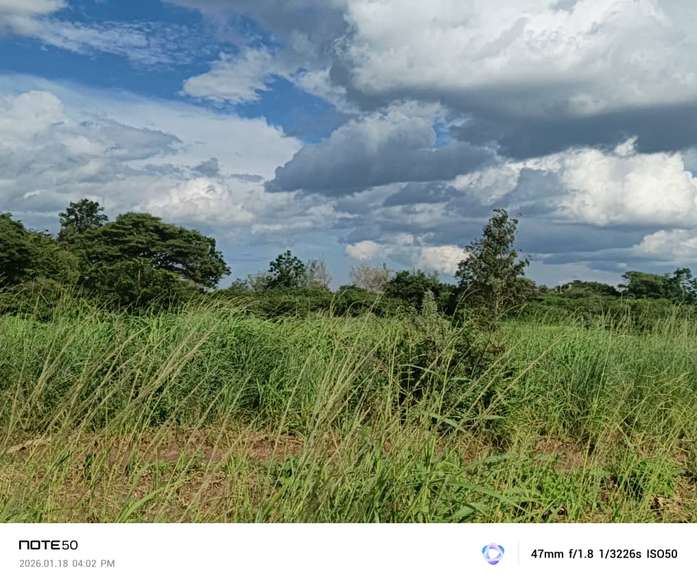 Property Thumbnail